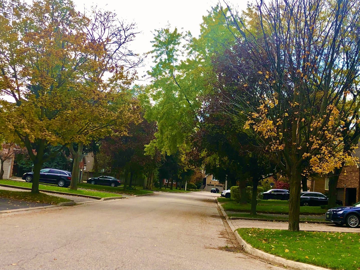 Mineola Road West - Photo 1