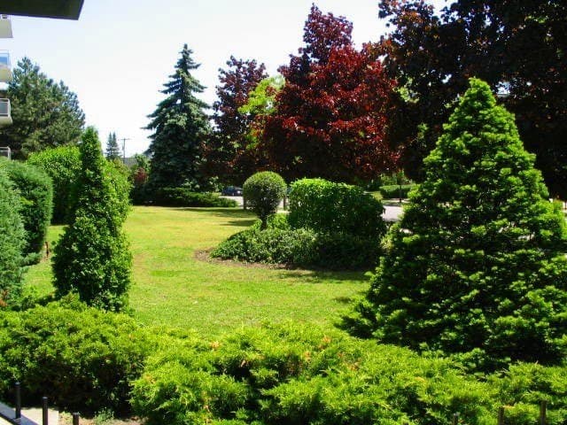 3089 Jaguar Valley Drive - Photo 2