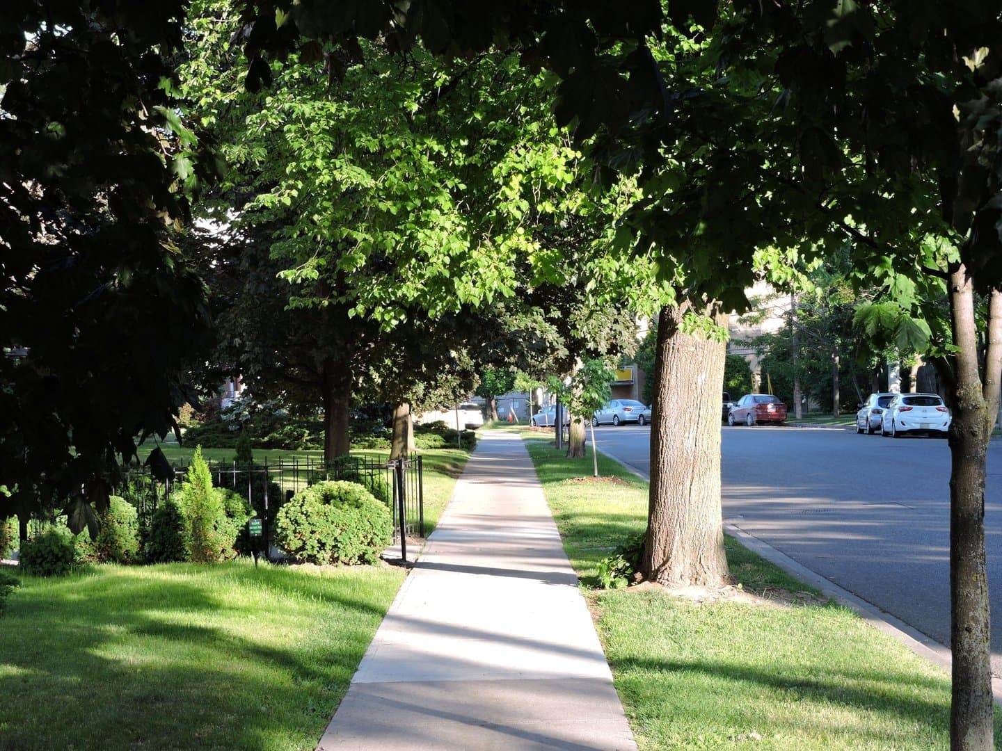 3089 Jaguar Valley Drive - Photo 4