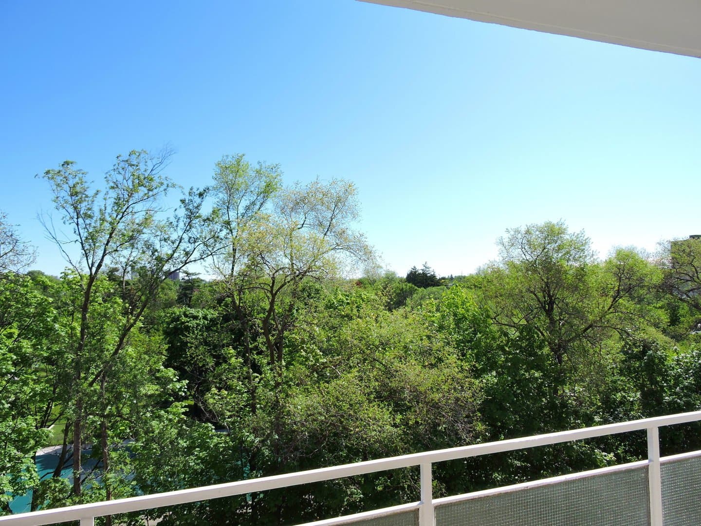 3089 Jaguar Valley Dr - Photo 1