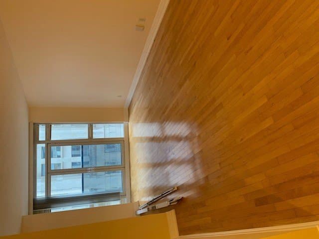 21 Carlton Street - Photo 4