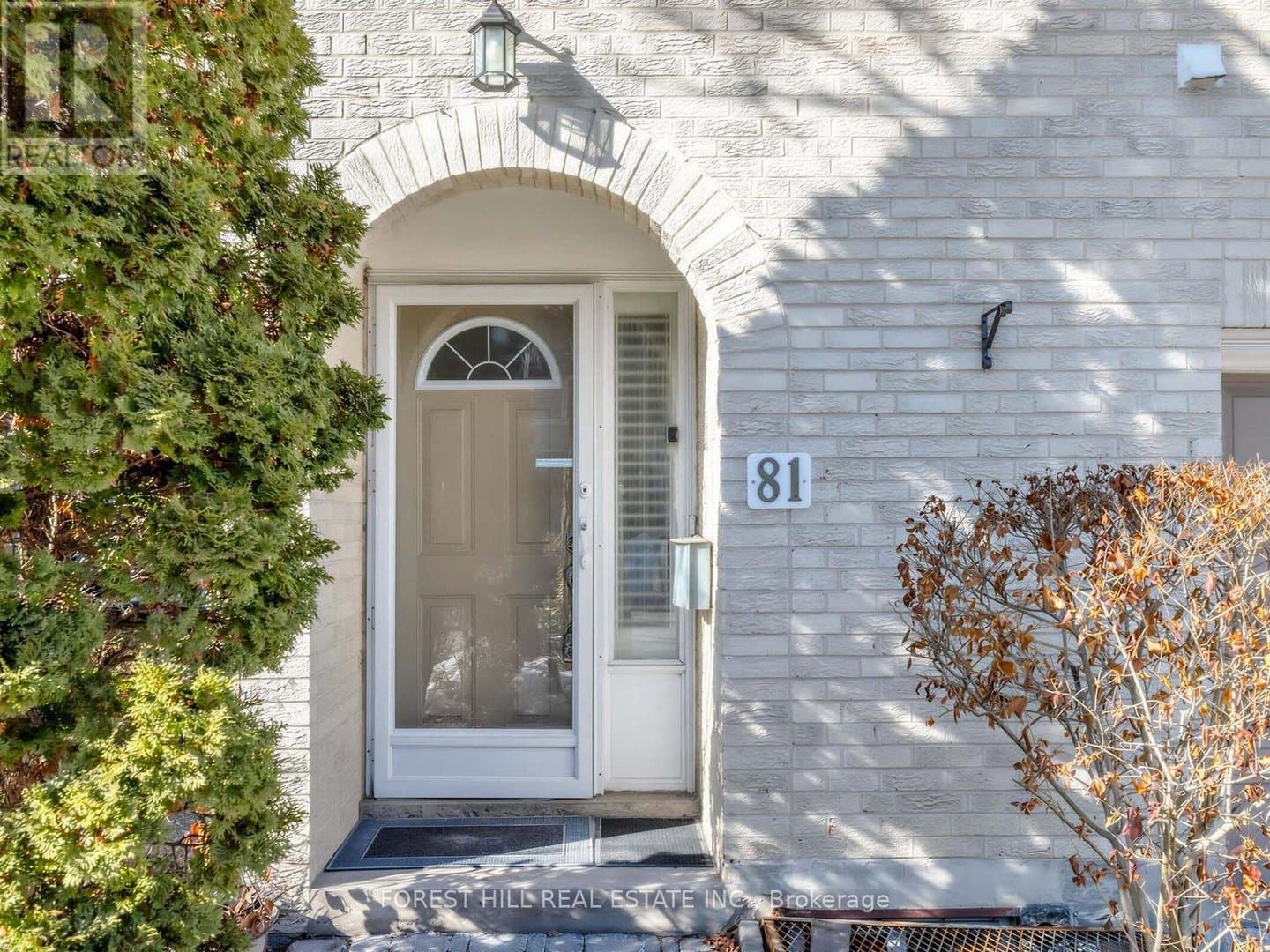 81 Scenic Mill Way - Photo 2