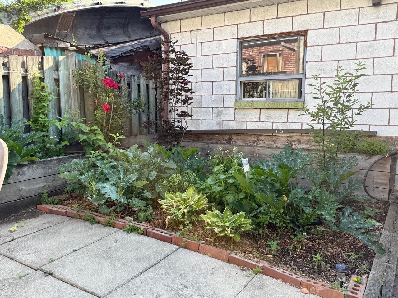 37 Gillespie Avenue - Photo 4