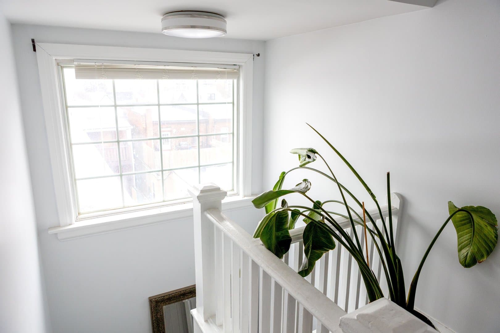 96 Uxbridge Avenue - Photo 3