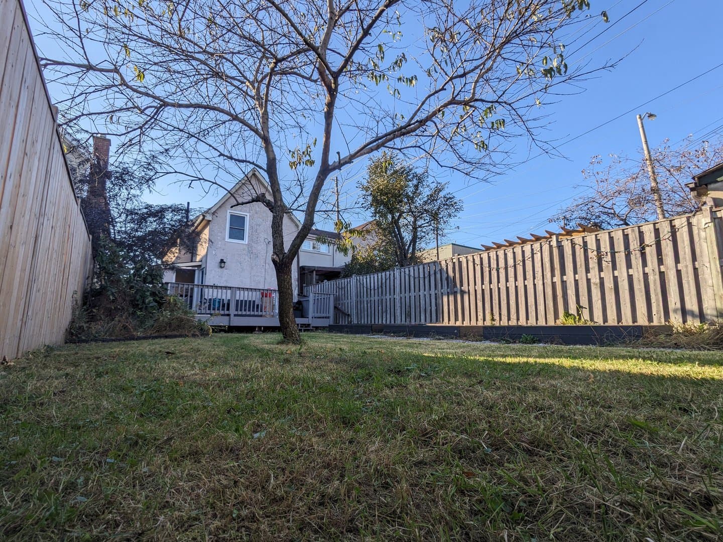 25 Toffee Court - Photo 4