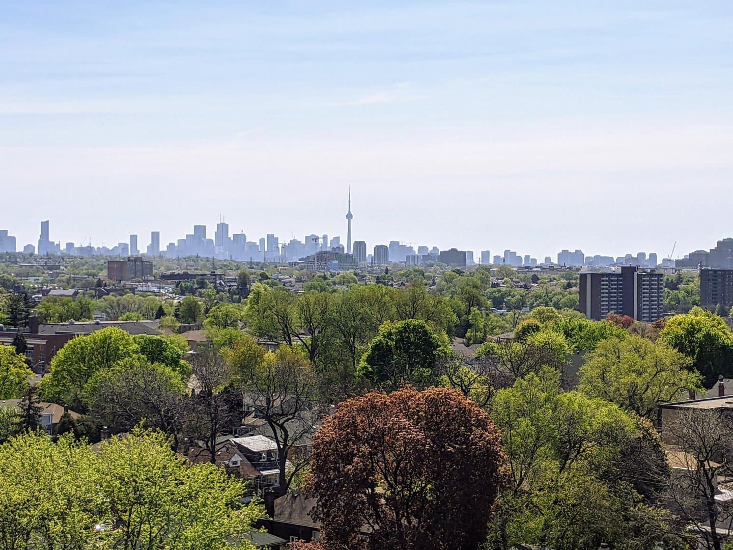 3559 Eglinton Avenue West