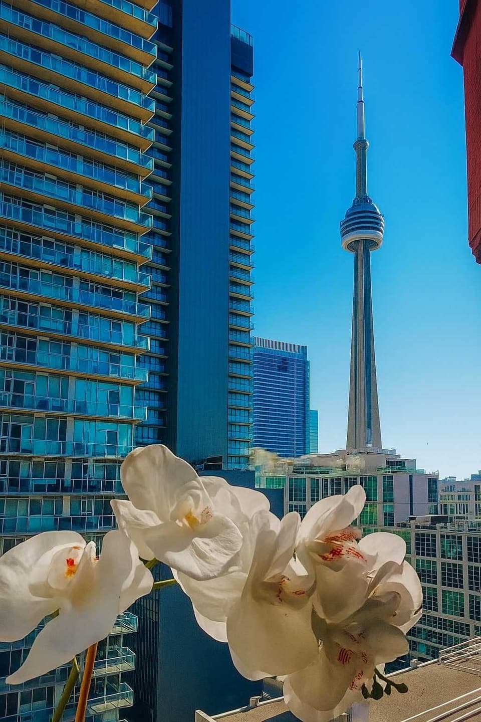 393 King St W, Toronto, ON M5V 3G8