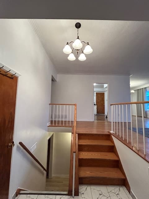 Cora Crescent, Scarborough, ON